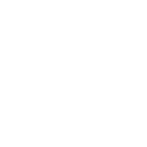 LOGO. ENDIVIA 300X300